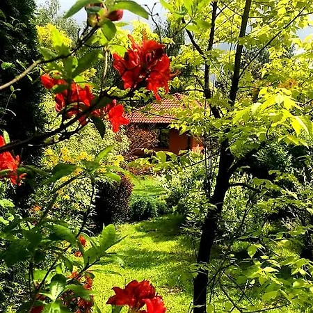 Secret Garden Residence Пашкувка Екстер'єр фото