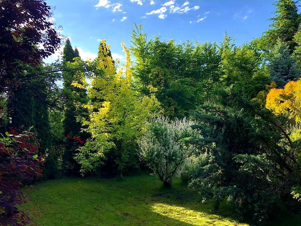 Secret Garden Villa *